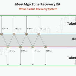 Zone Recovery Panel EA