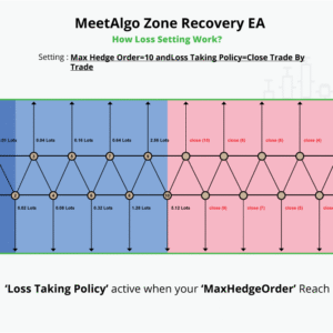 Zone Recovery Panel EA